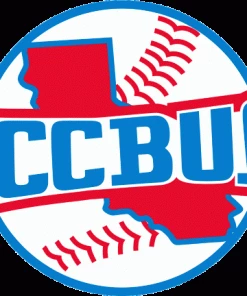 Shirt Stop CCCBUA Richardson Fitted Umpire Hat - 8 Stitch